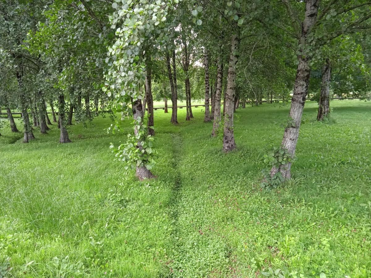 Apartamento Turistico Rural Casa Chain 卢戈 外观 照片